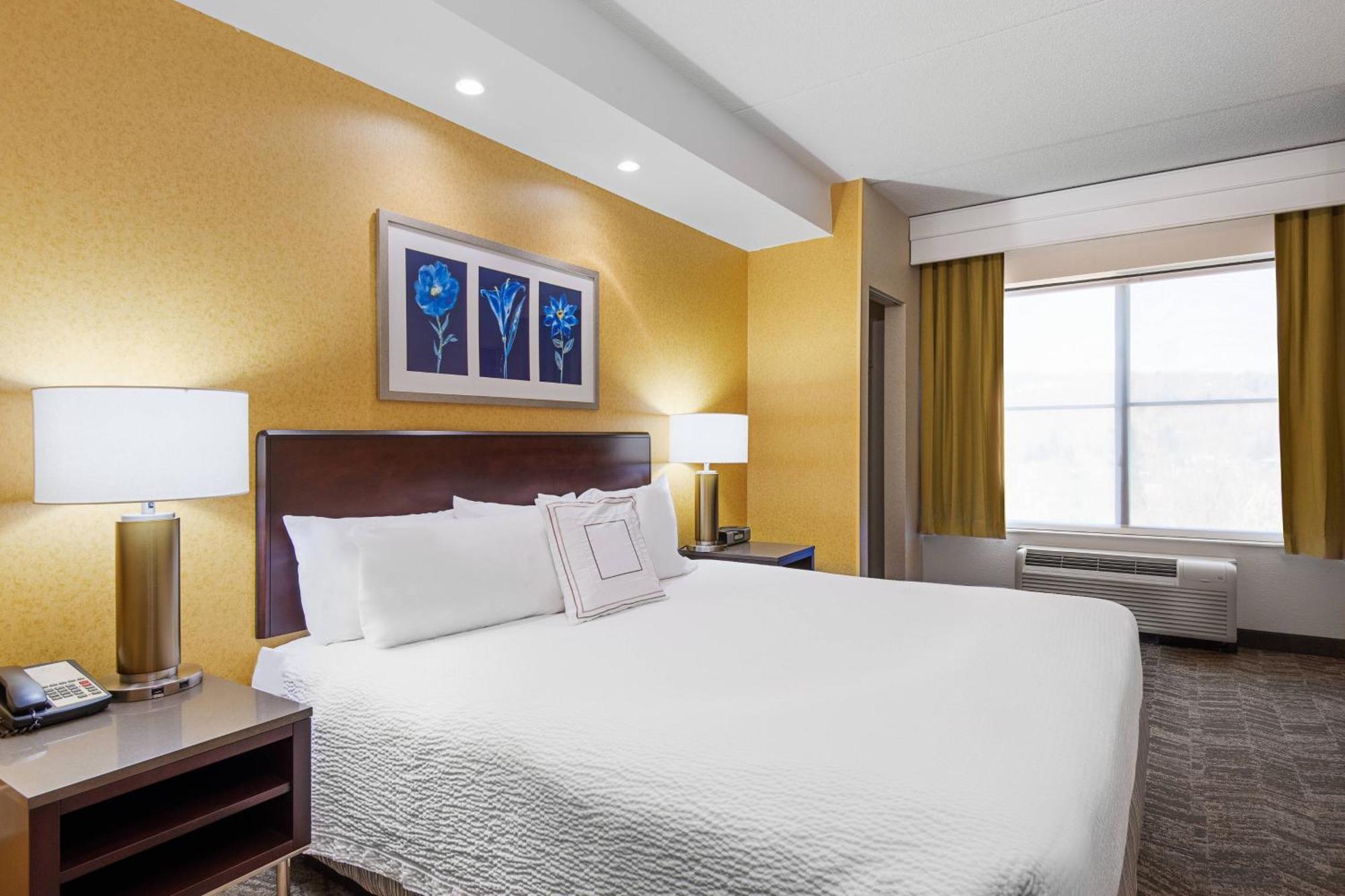 Springhill Suites By Marriott Wheeling Triadelphia Area Kültér fotó